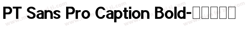 PT Sans Pro Caption Bold字体转换